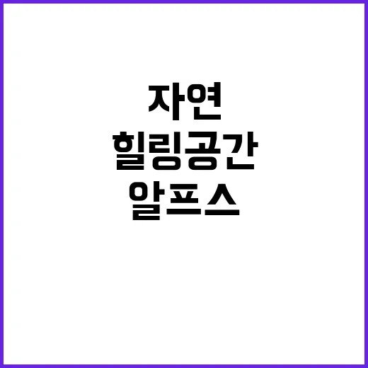 알프스캠핑 눈앞의 …