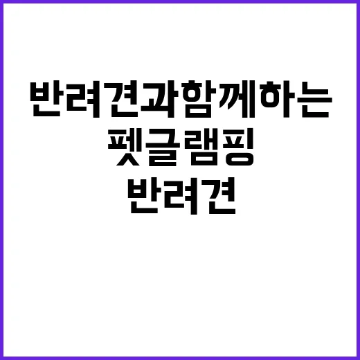 펫글램핑 반려견과 …