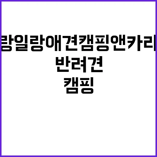 일랑일랑 애견캠핑 앤 카라반