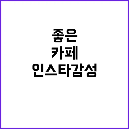 그라디언트 분위기 …