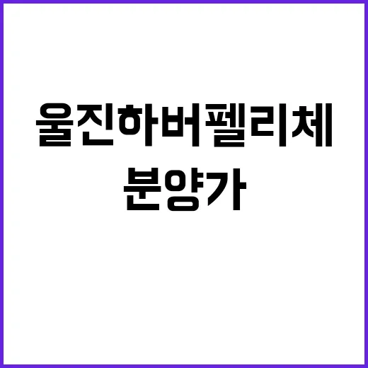 울진 하버펠리체 청약 정보 및 분양가 궁금증!