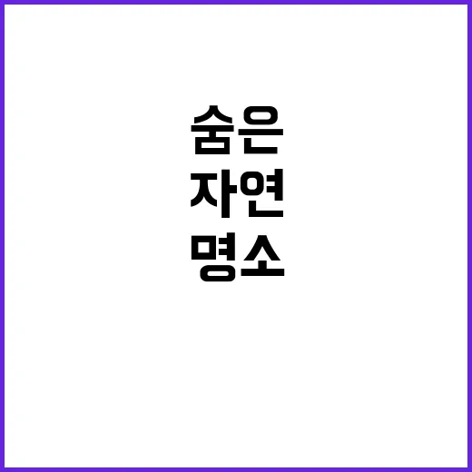 캠프마징가 자연 속…