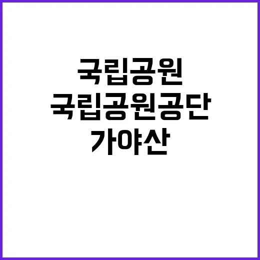 [가야산] 가야산국립공원 기간제(환경관리,탐방로보수) 인력 채용 공고