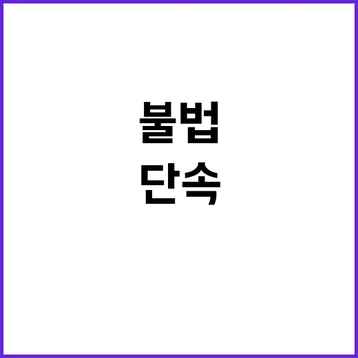 ‘K콘텐츠 불법유통…