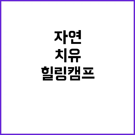 금오산 힐링캠프