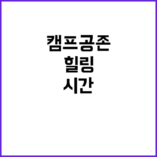 캠프공존 즐거운 캠…