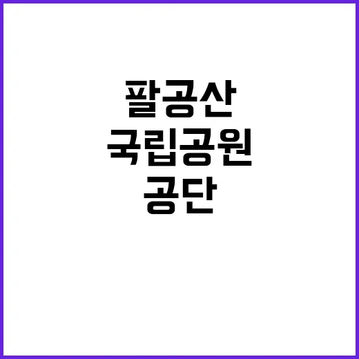 국립공원공단 비정규…