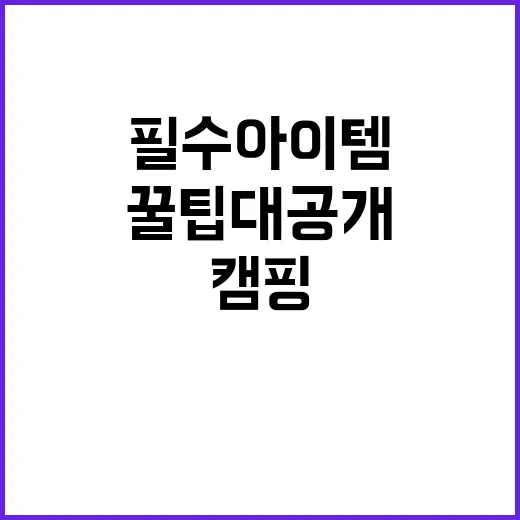 이유캠핑 필수 아이…