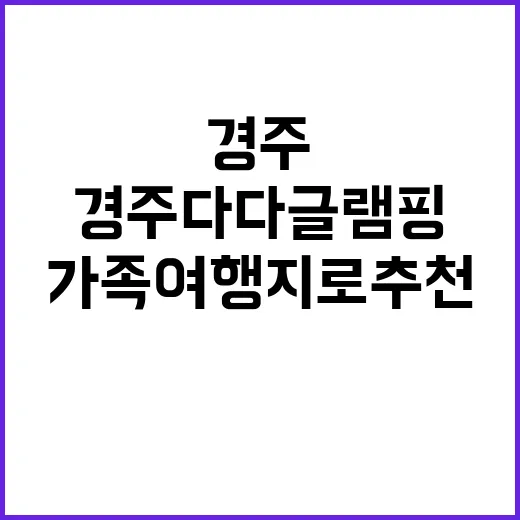 경주 다다 글램핑 …