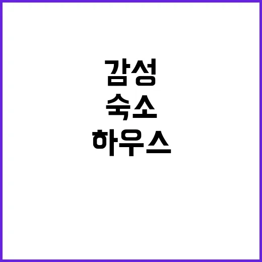 린하우스 감성 가득…