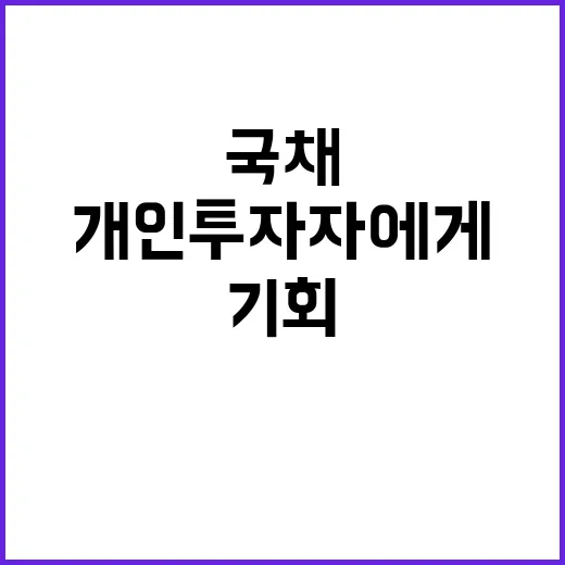 국채 발행 개인 투…