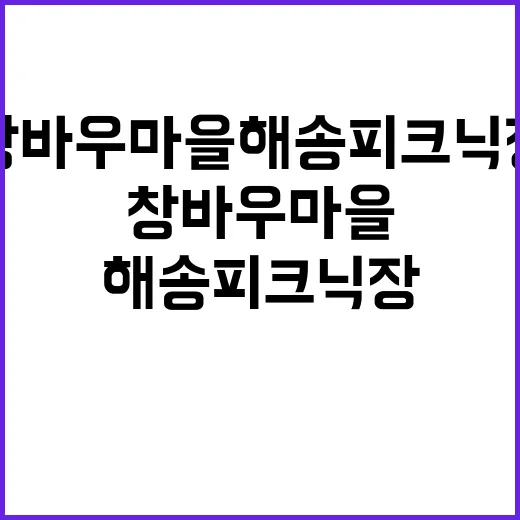 창바우마을 해송피크…