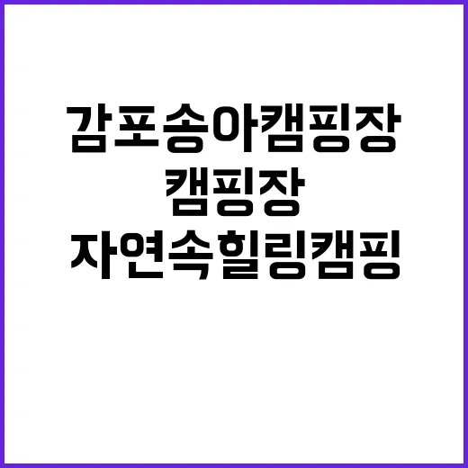 감포송아캠핑장