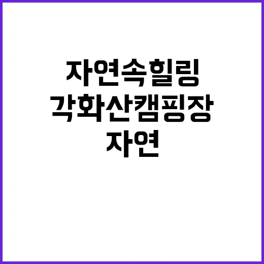 각화산캠핑장 자연 …