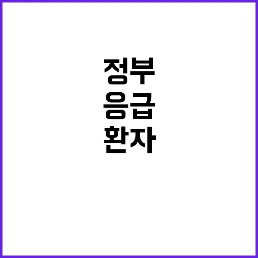 경증환자 본인부담금…