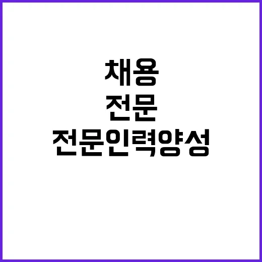 채용절차 인사처 전…