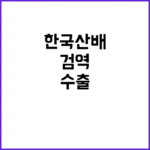 한국산 배 미국 수출 검역 차질 없는 이유!