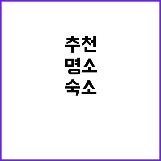 아델리아 숨겨진 명…