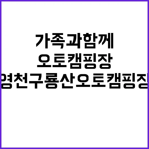 영천 구룡산 오토캠…