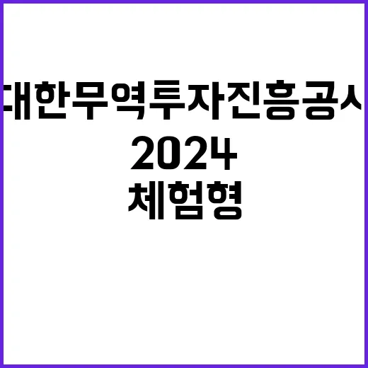 2024년 하반기 체험형 청년인턴(장애인 전형) 모집