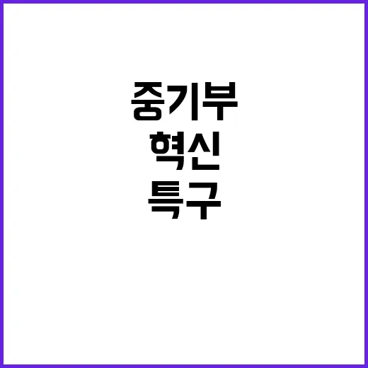 규제자유특구 중기부…