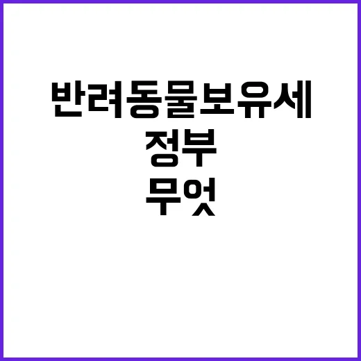 반려동물 보유세 정…