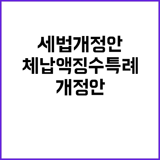 세법개정안 체납액 …