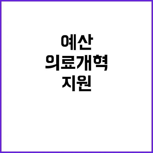 예산 증가 의료개혁…