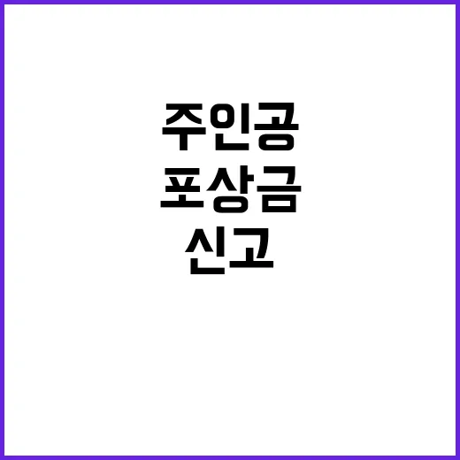 주인공 신고 포상금…