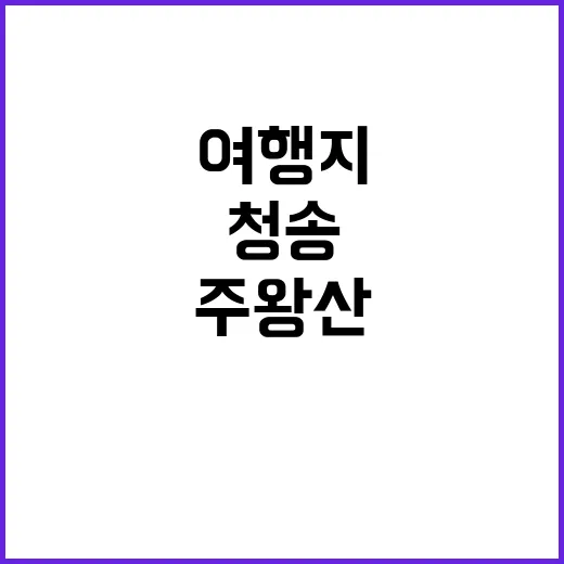 청송주왕산 느티나무…