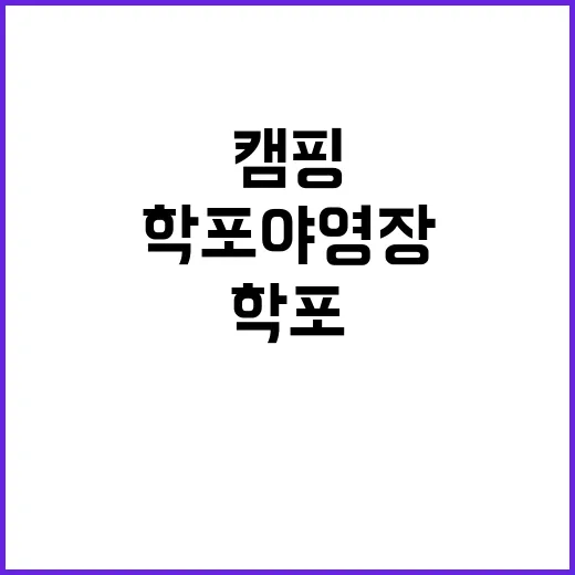 학포야영장 필수 체…