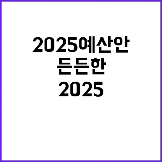 2025 예산안 미래를 지키는 든든한 삶의 기초!