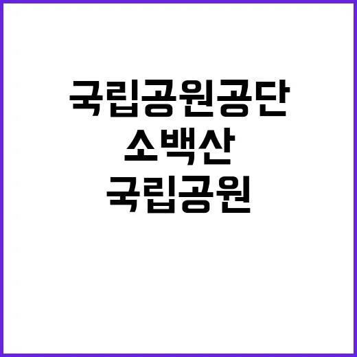 국립공원공단 비정규…