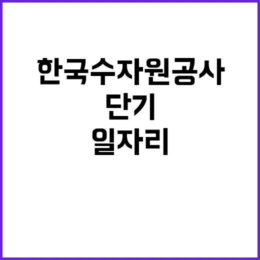 한국수자원공사 비정…