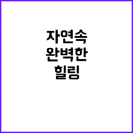 허그안 힐링캠프 자…