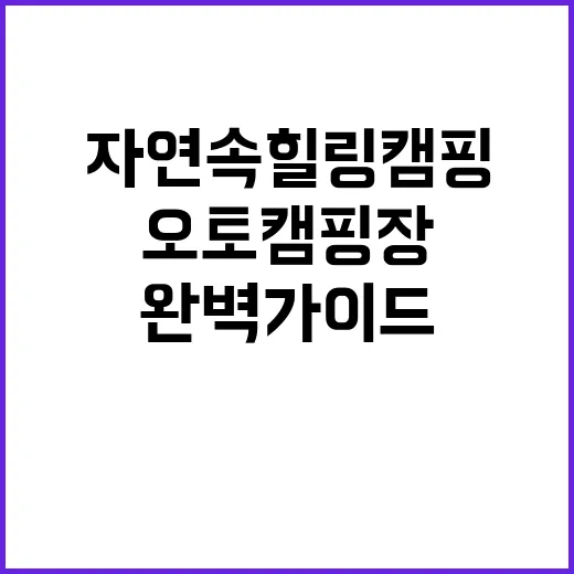 금오산 오토캠핑장 …