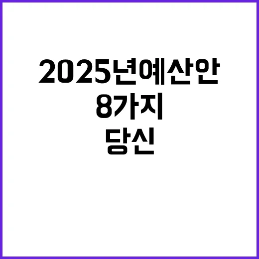 2025년 예산안 당신의 삶을 변화시킬 8가지!