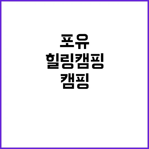 포유 야영장 최고의…