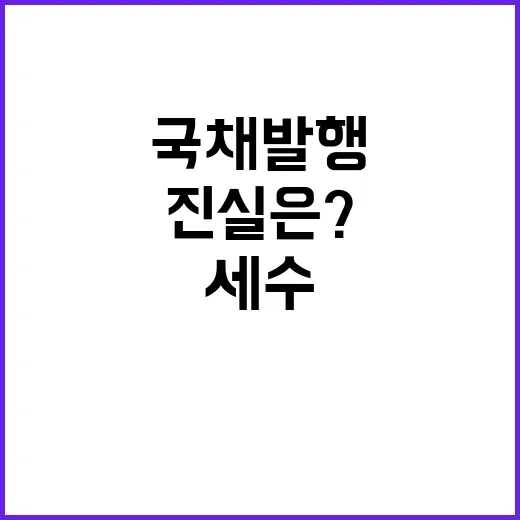 국채 발행 세수 결손 무관하다! 진실은?