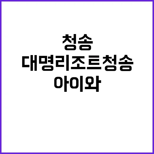 대명리조트 청송 은하수캠핑장