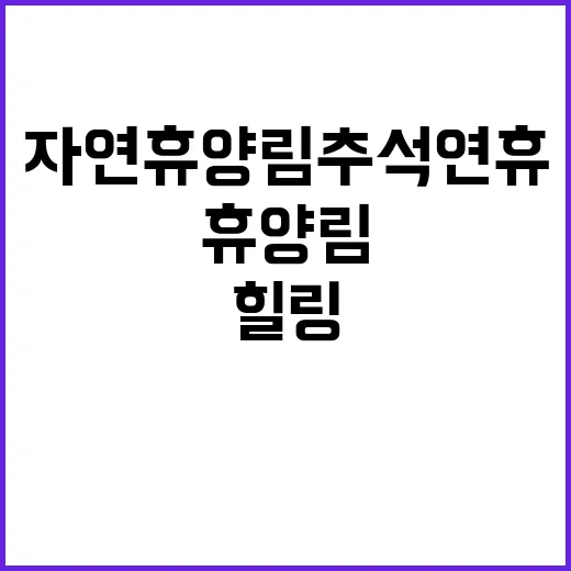 자연휴양림 추석 연…