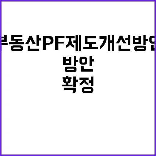 부동산 PF 제도개선 방안 확정되지 않은 진실!