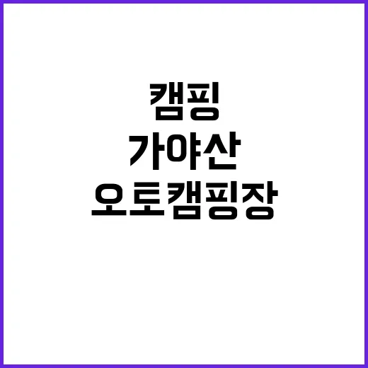 가야산백운오토캠핑장…