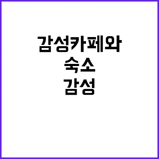 커몽 그라운드