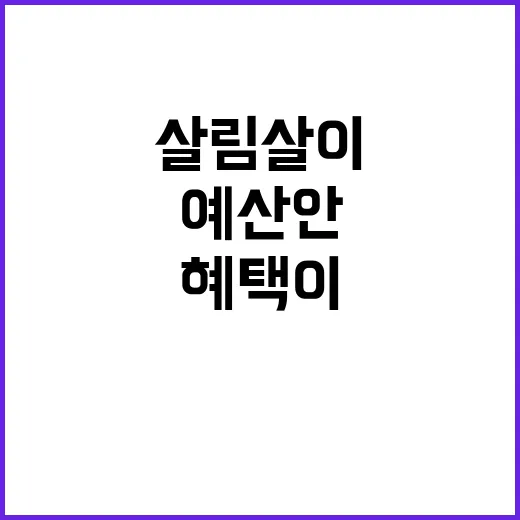 2025 예산안 살…