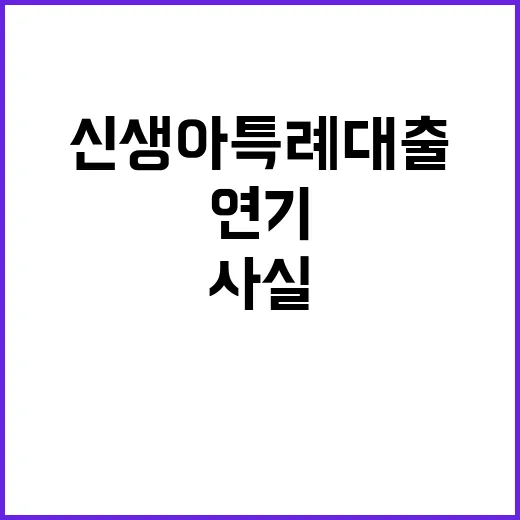 국토부 “신생아특례대출 연기 사실 원인 공개”