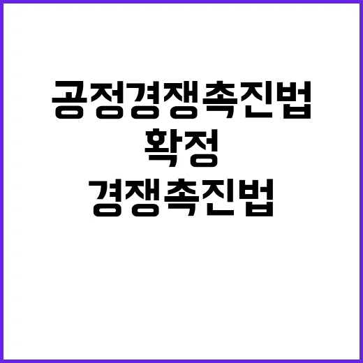 공정경쟁 촉진법 사…