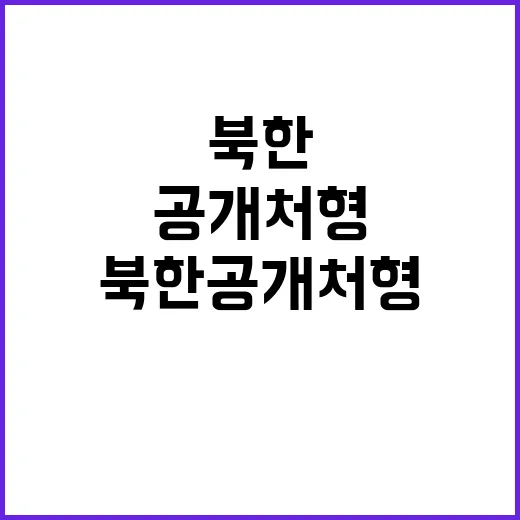 북한 공개처형 사실은 다른 이야기입니다!