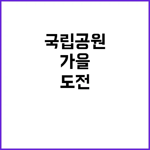 국립공원공단 비정규…