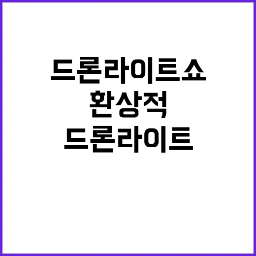 드론 라이트쇼 왕릉…